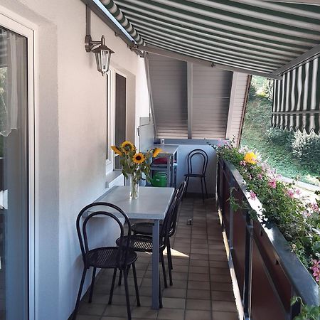 Ferienwohnung am Geißberg Kleines Wiesental Exterior foto